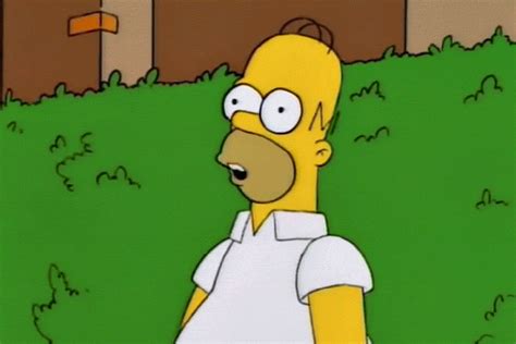 homero simpson gif|funny homer simpson gif.